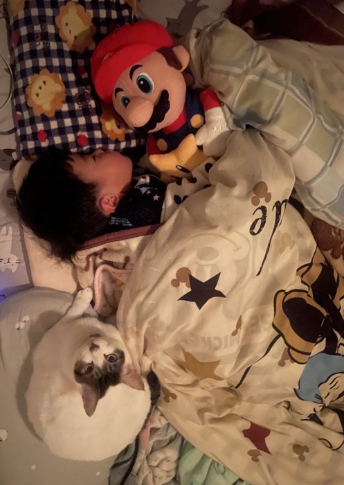 眠る男の子と猫