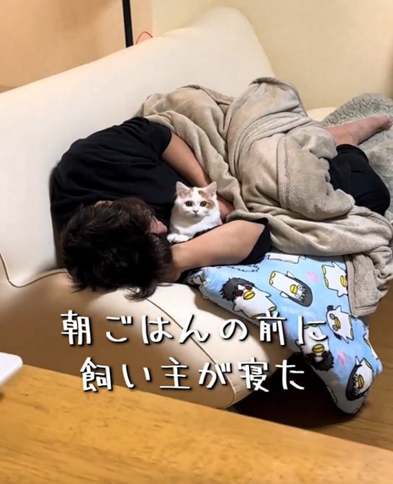 抱きしめられる猫