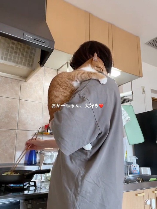 しがみつく猫
