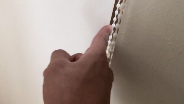 飼い主さんの手