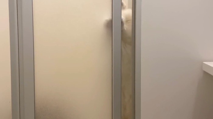 掴まり立ち
