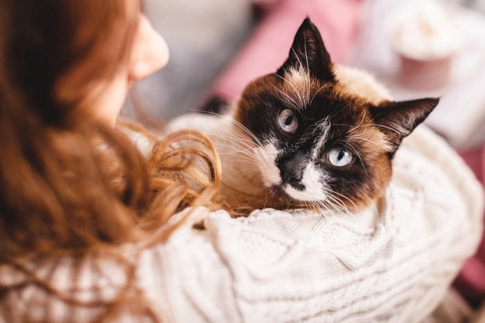 女性に抱かれる猫