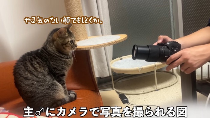 写真を撮られる図