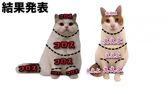 2匹のおさわりMAP