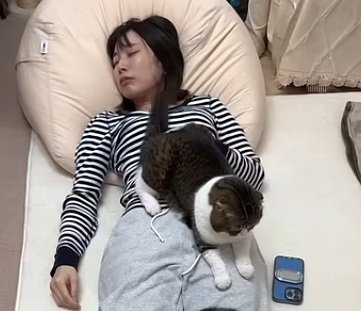 眠っているママの上でくつろいでいる猫