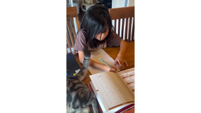 猫と女の子