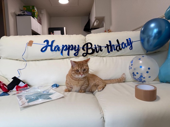 飾りつけ中のソファといずくん