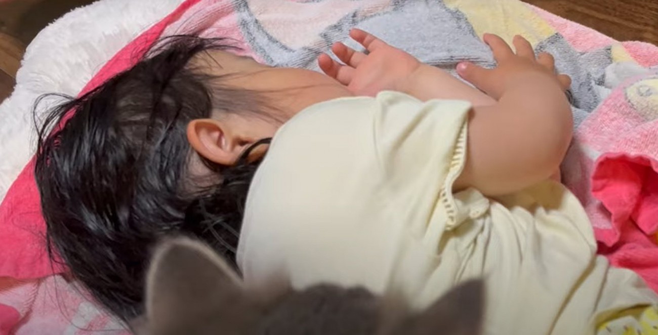 寝ている子供と手前に猫の耳