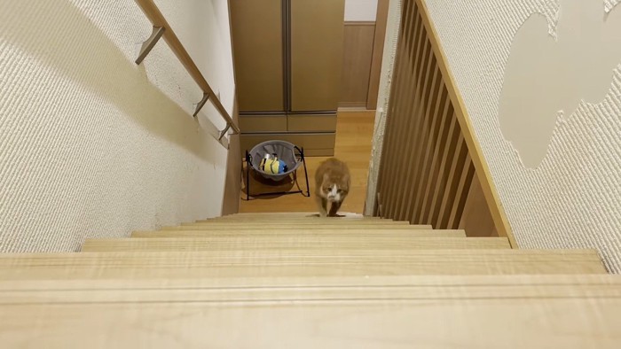 登り始め