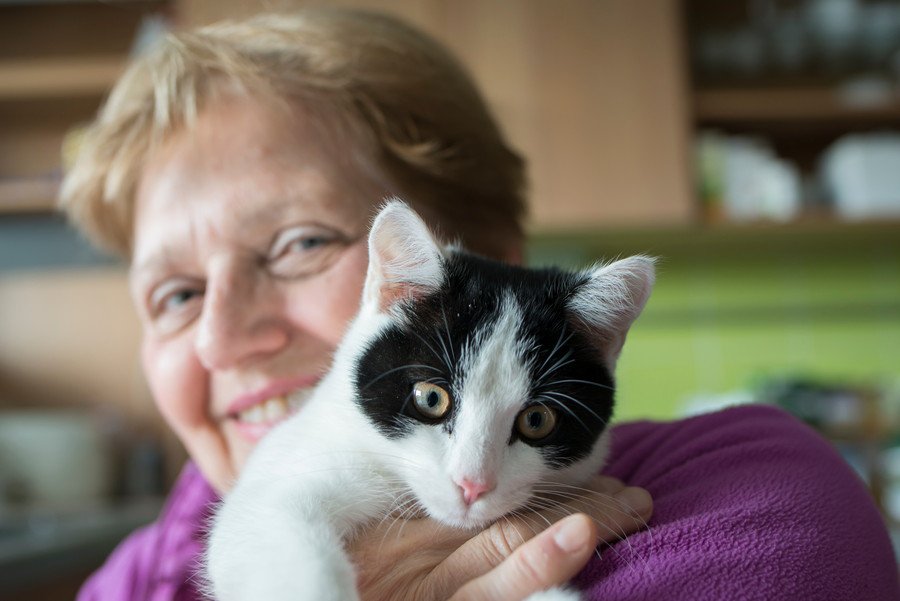 白黒猫を抱く年配の女性