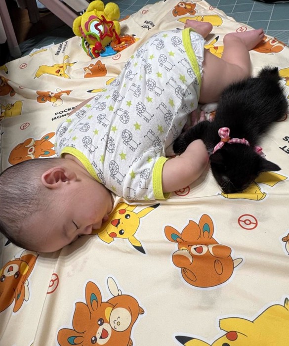 一緒に眠る赤ちゃんと子猫