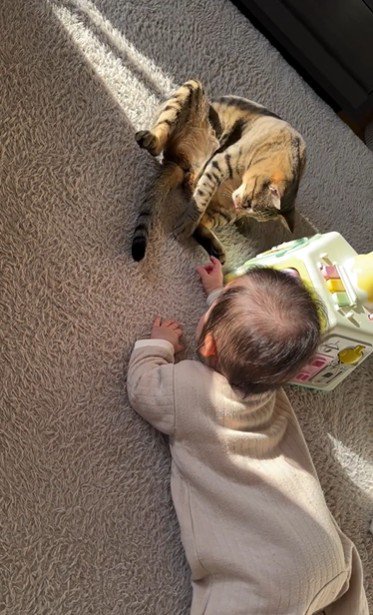 床に座っている猫と赤ちゃん