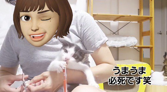 爪を切られながらおやつを食べる子猫