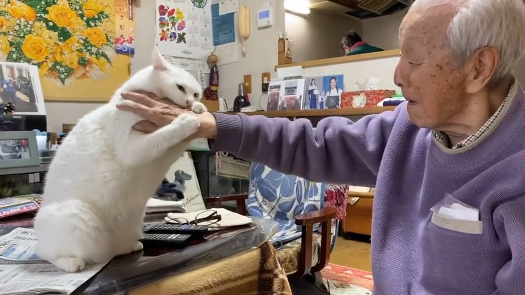 おじいちゃんの手にじゃれる猫