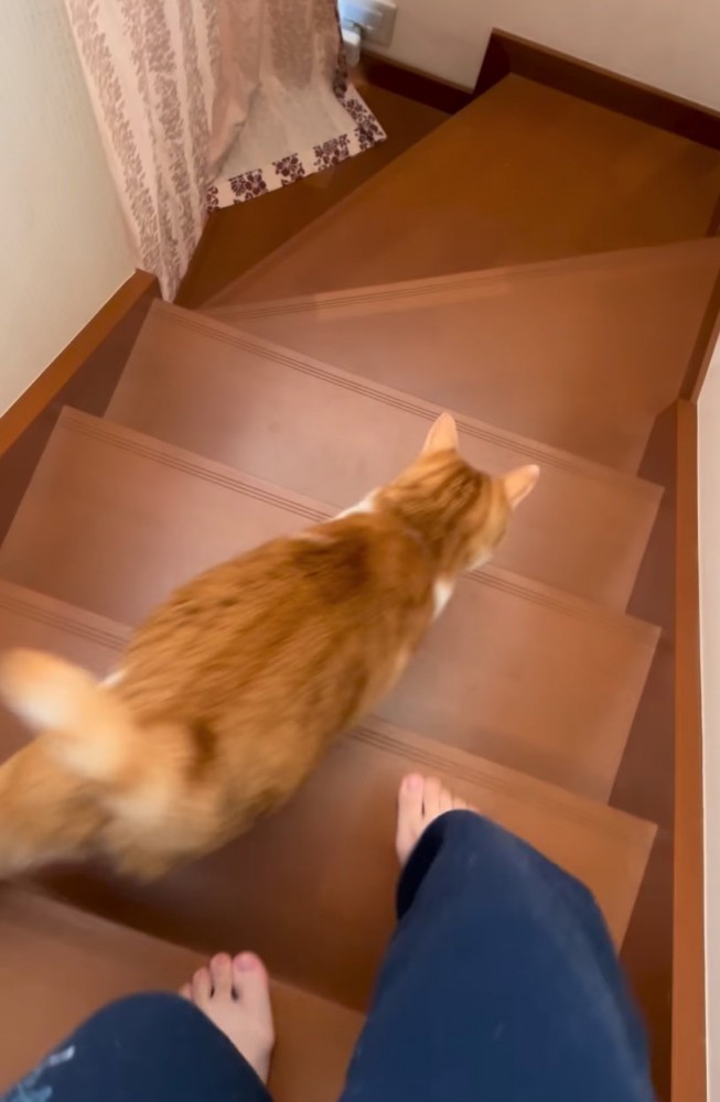 階段を駆け降りる