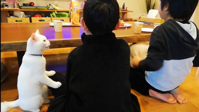 フレーメン反応