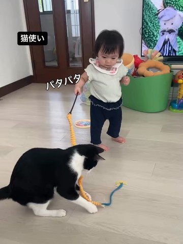 おもちゃで遊ぶ子どもと猫