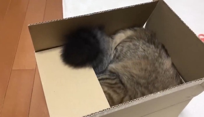 箱の中へ