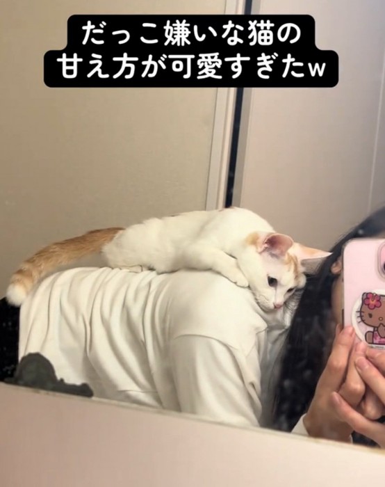 おんぶされる猫