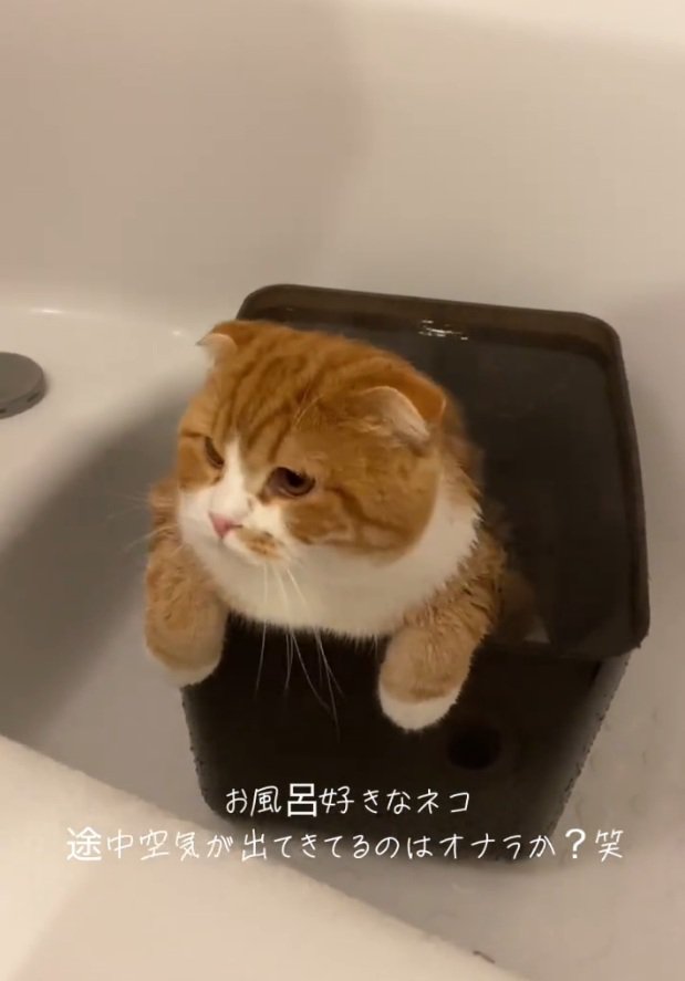 横を見続けるエトくん