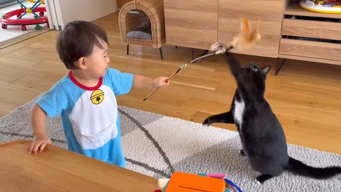 じゃれるくまごろうくん