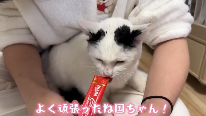 テロップ「よく頑張ったね~」