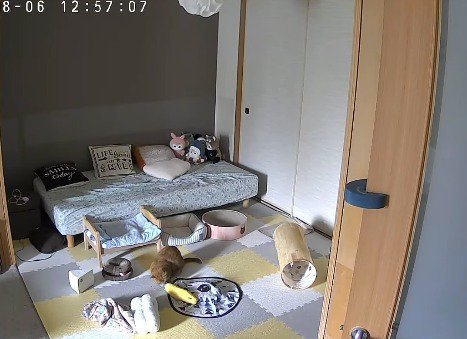 動かなくなったおもちゃを見つめる猫