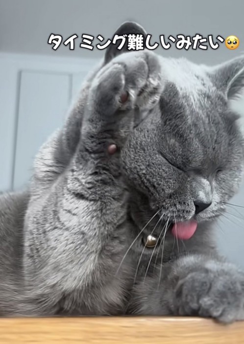 「タイミング難しいみたい」のテロップ写真2