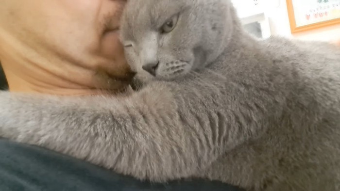 片目を閉じた顔