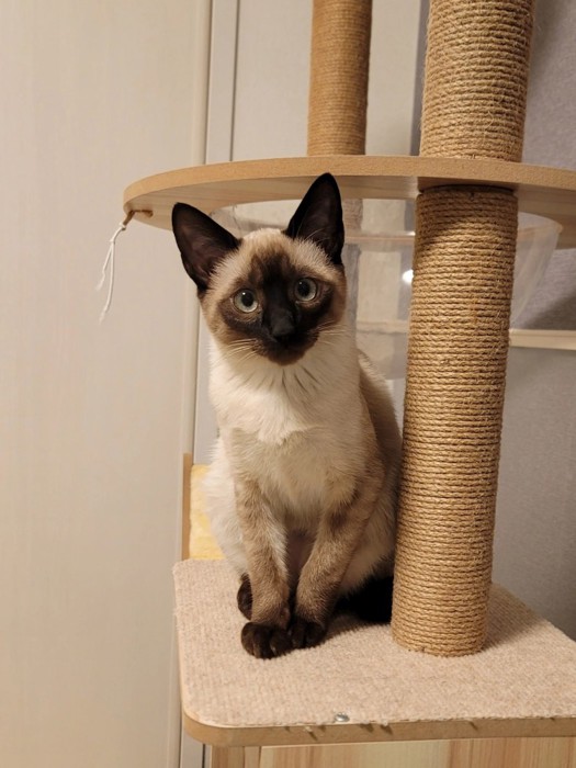 成長したモコロちゃん