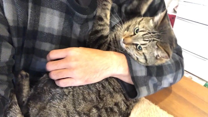 腕の中