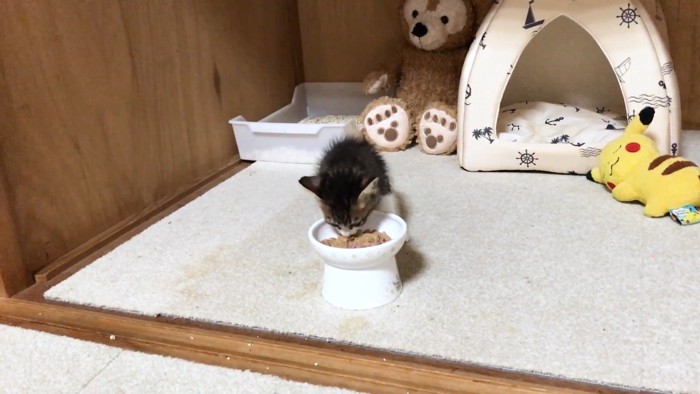 ご飯