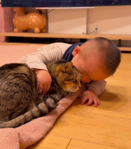 猫に顔を寄せる赤ちゃん