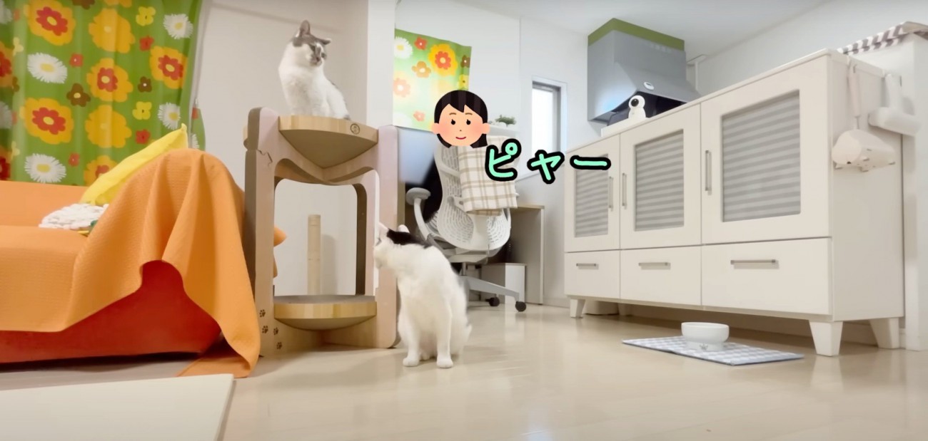 タワーと床に猫1