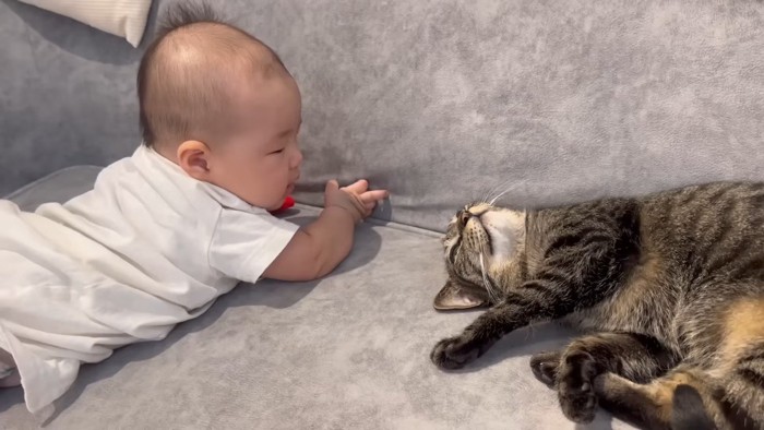 くつろぐふたり