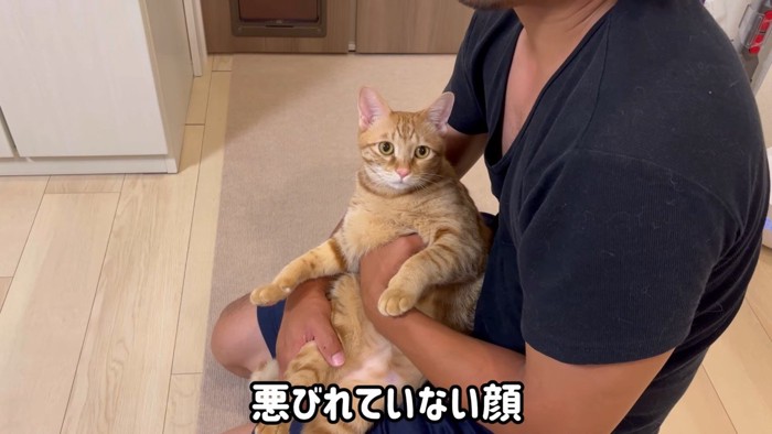 悪びれていない顔