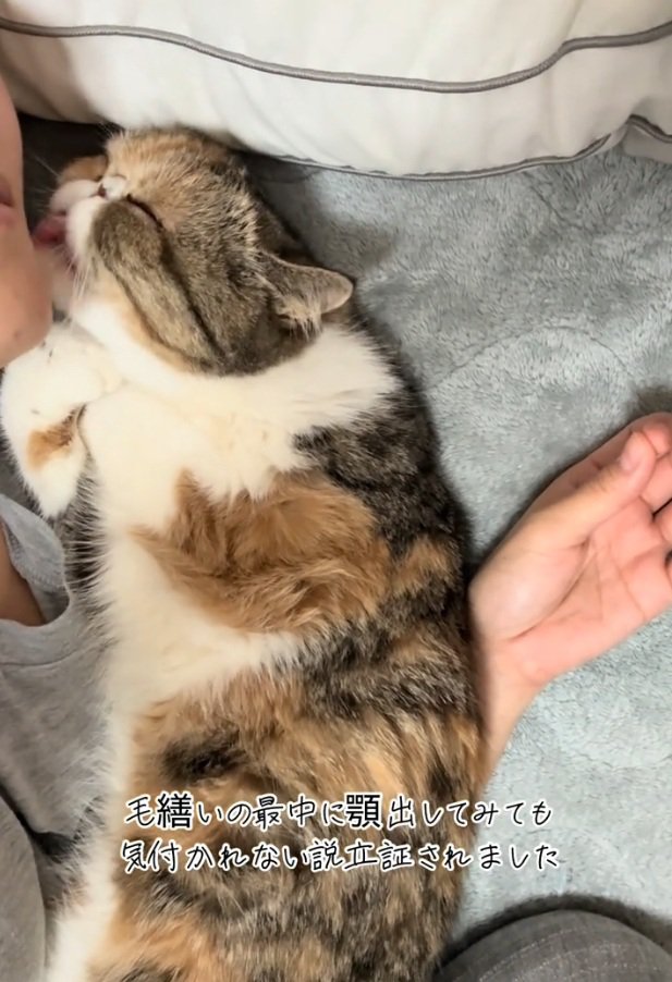 顎を舐め続ける小梅ちゃん