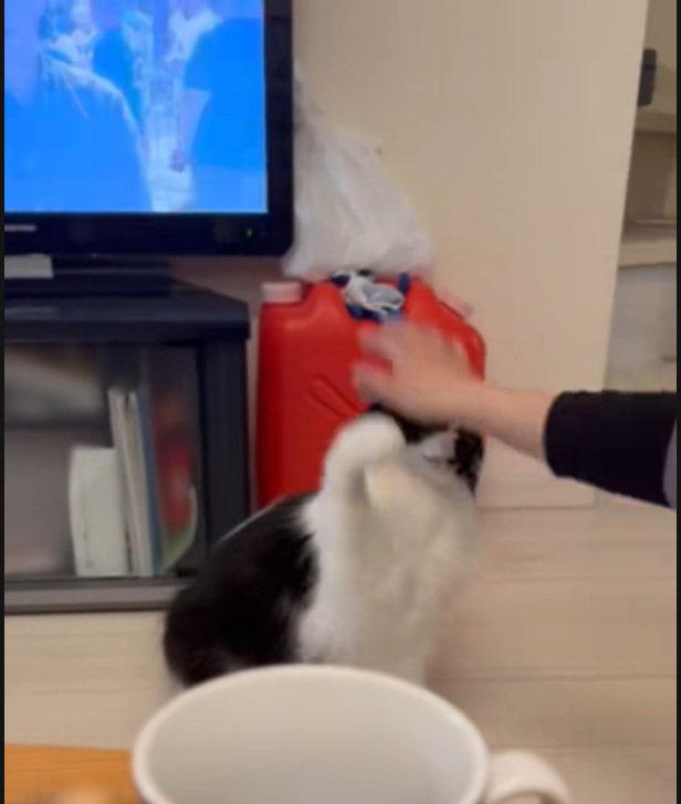 抵抗するオレオくん