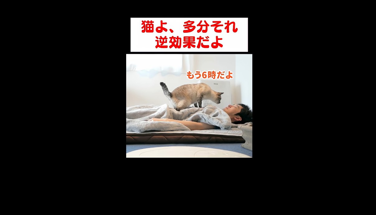 もう6時だよ