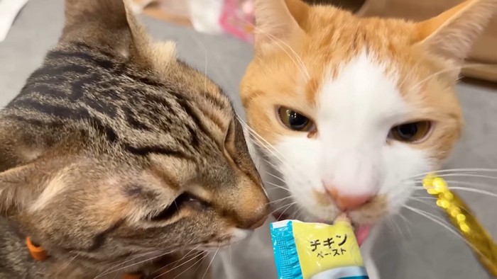 ティガーとチップ