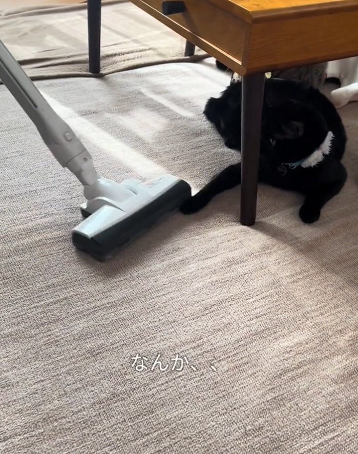 掃除機を眺めるナチくん