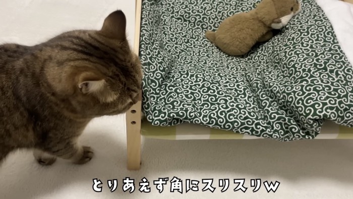 「とりあえず角に...」のテロップ写真