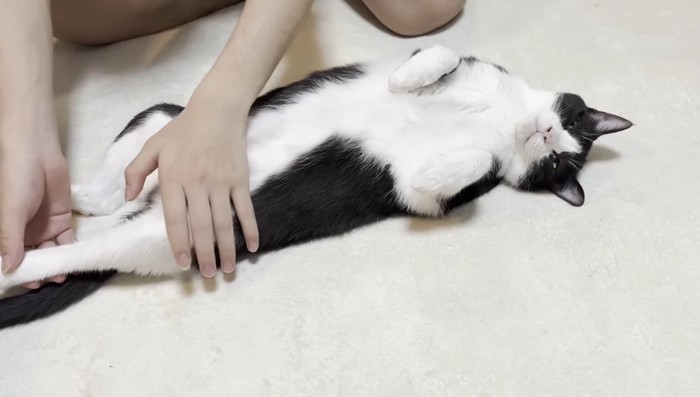 後ろ足を伸ばして2