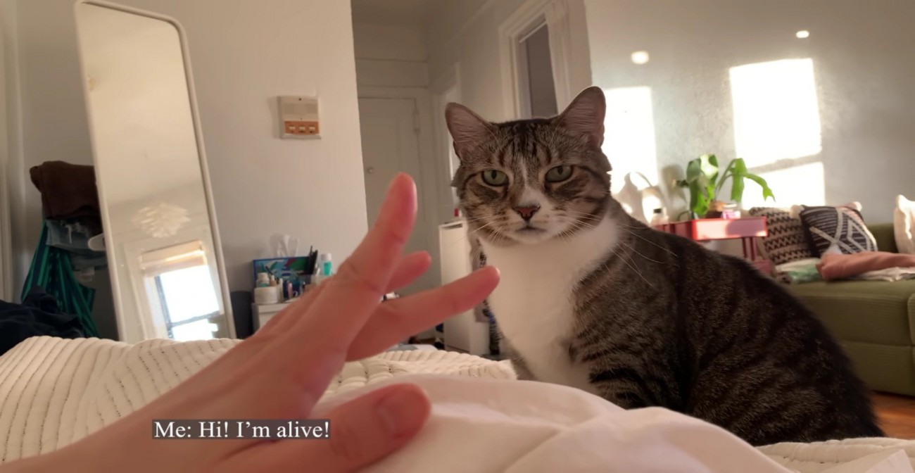 飼い主さんが起きて嬉しそうなノブくん%%「!!」