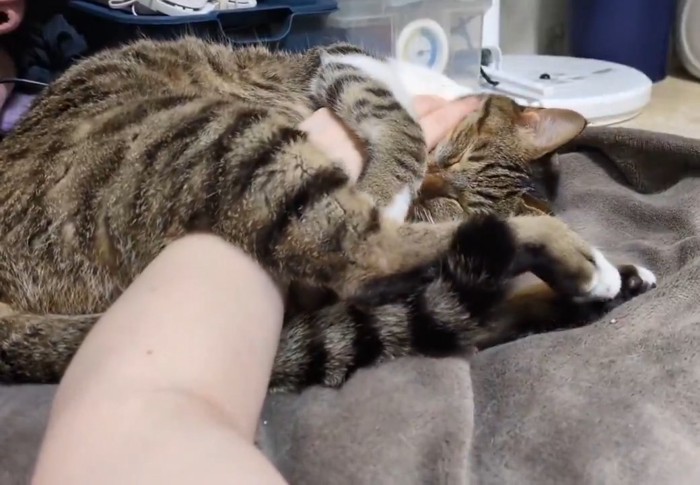 飼い主さんの腕を足で挟む姿