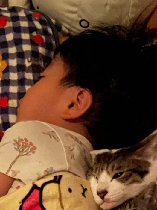 ぐっすり眠る4歳児の背に寄り添う猫