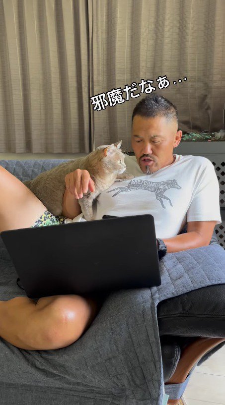 猫の隣で呟く飼い主