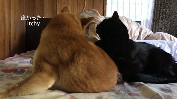 痒かった〜