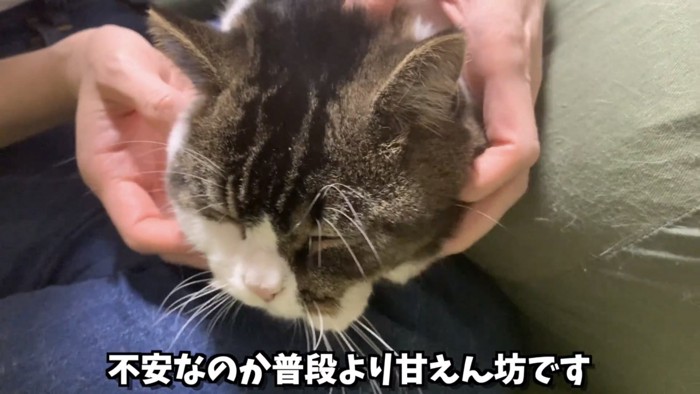 「不安なのか...」のテロップ写真