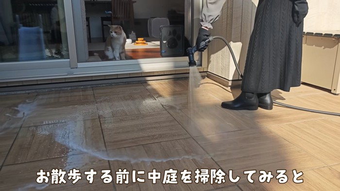 キャティオを掃除中